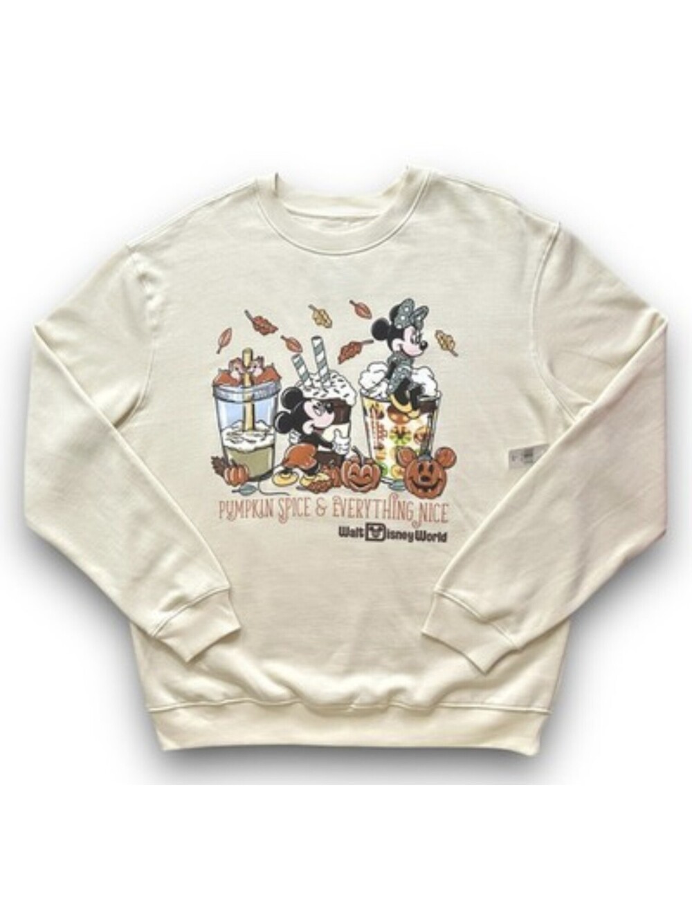 Disneyland Pumpkin Spice & Everything Nice Halloween Sweatshirt s